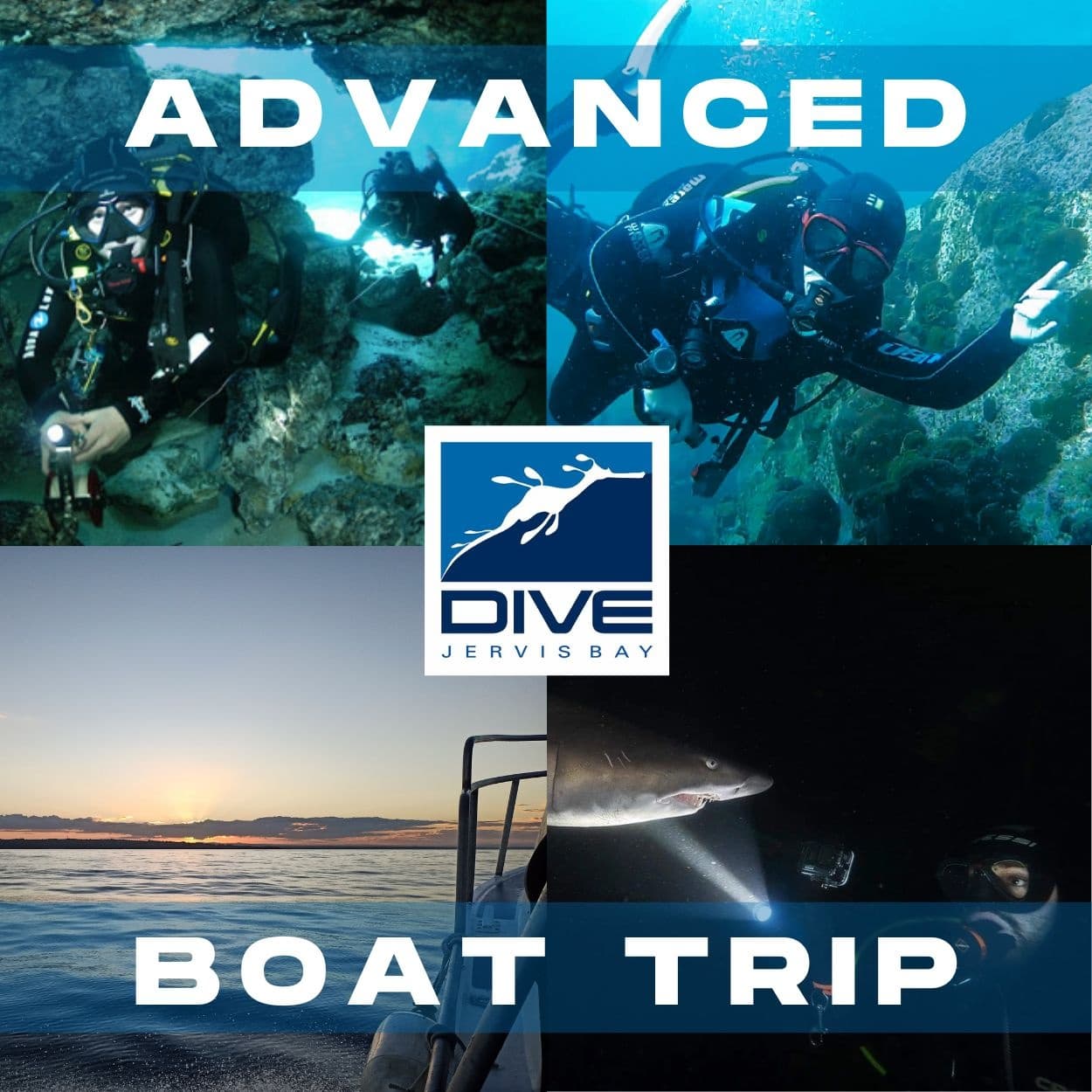 Water Activities & Jervis Bay Sea Sports: Dive Deep