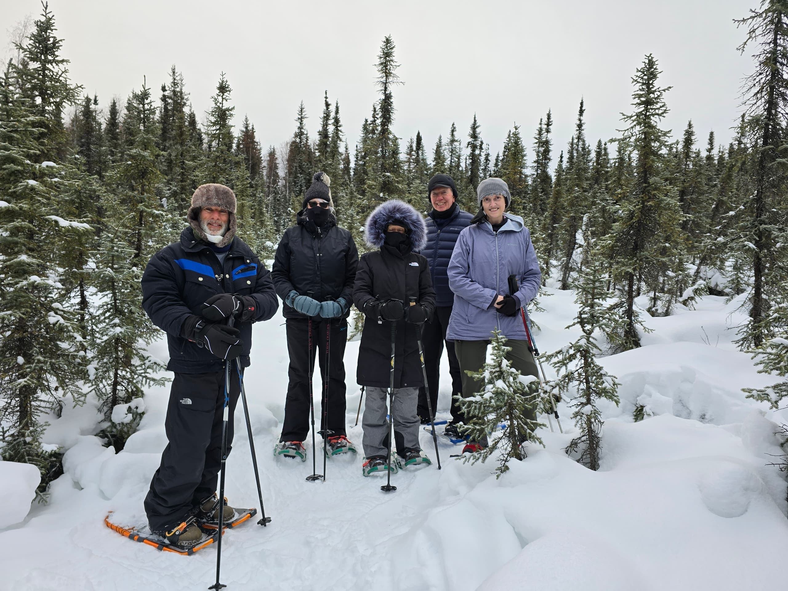 Explore Alaskan Wilderness on the Snowshoeing Forest Fun Walk near Fairbanks