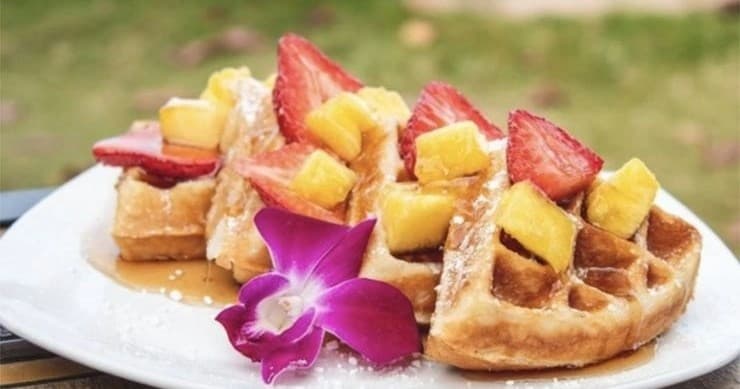 Cruz N Eat Hawaii fleet
