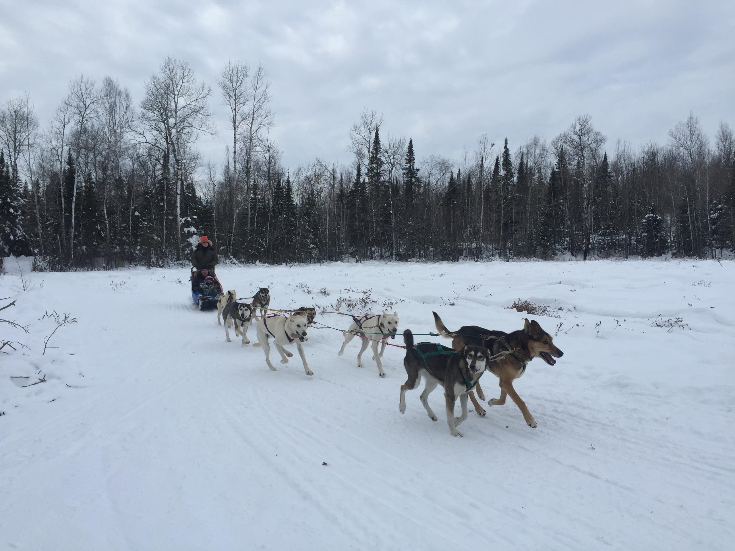 Winter Sports & Dog Sledding at Positive Energy Outdoors