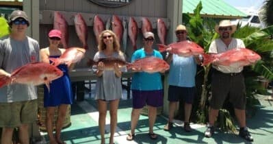 Deep-Sea Fishing with Chipper's Clipper in Orange Beach