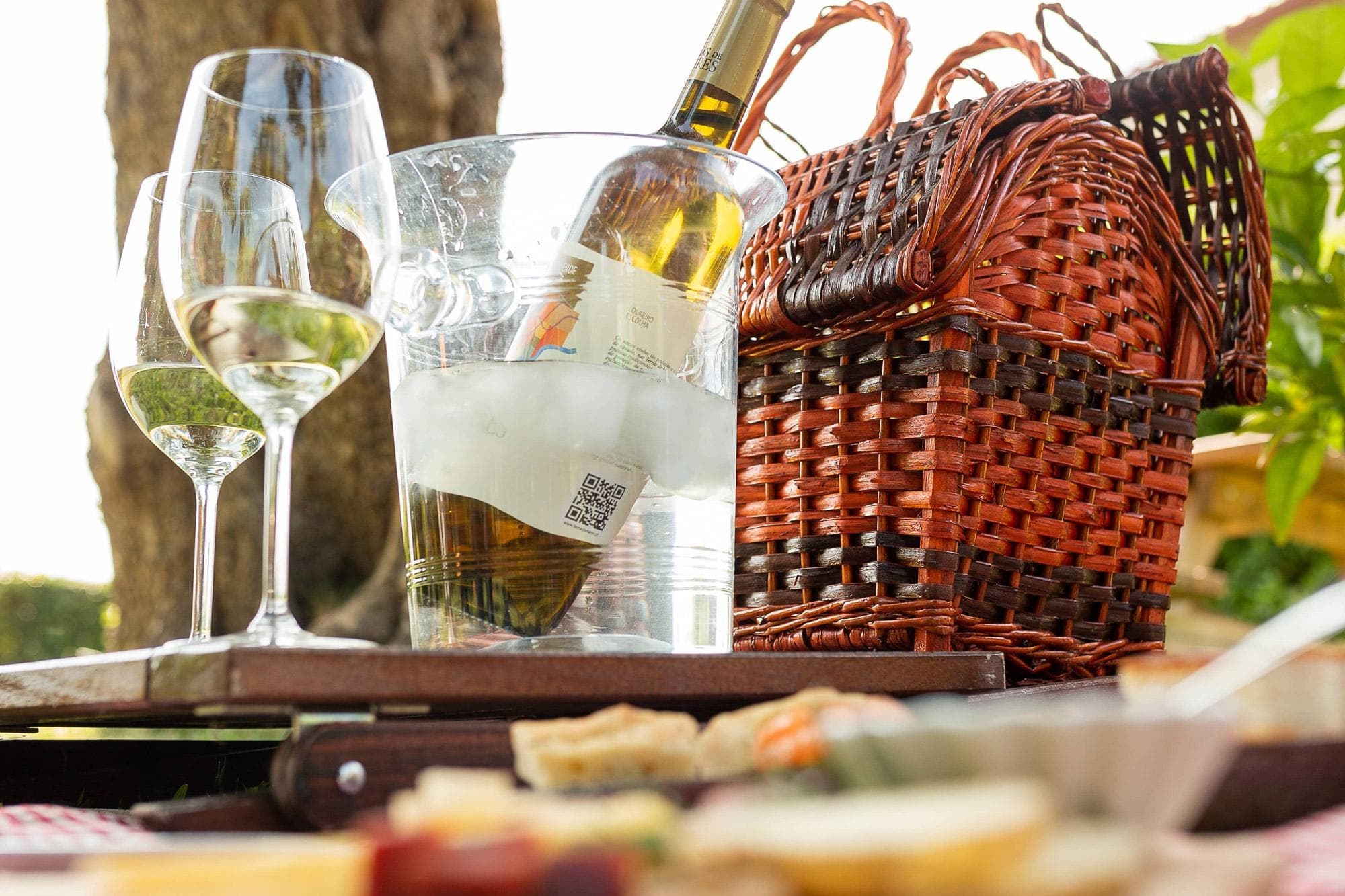 Wine Picnic Experience at CASA LATA Agro Turismo