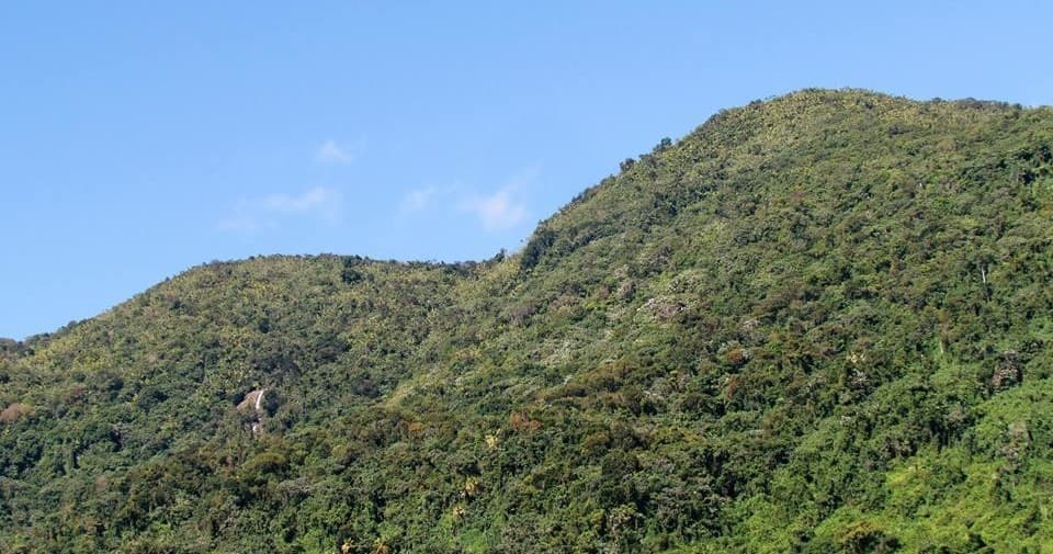 Taino Route Eco Tour in San Juan, Puerto Rico