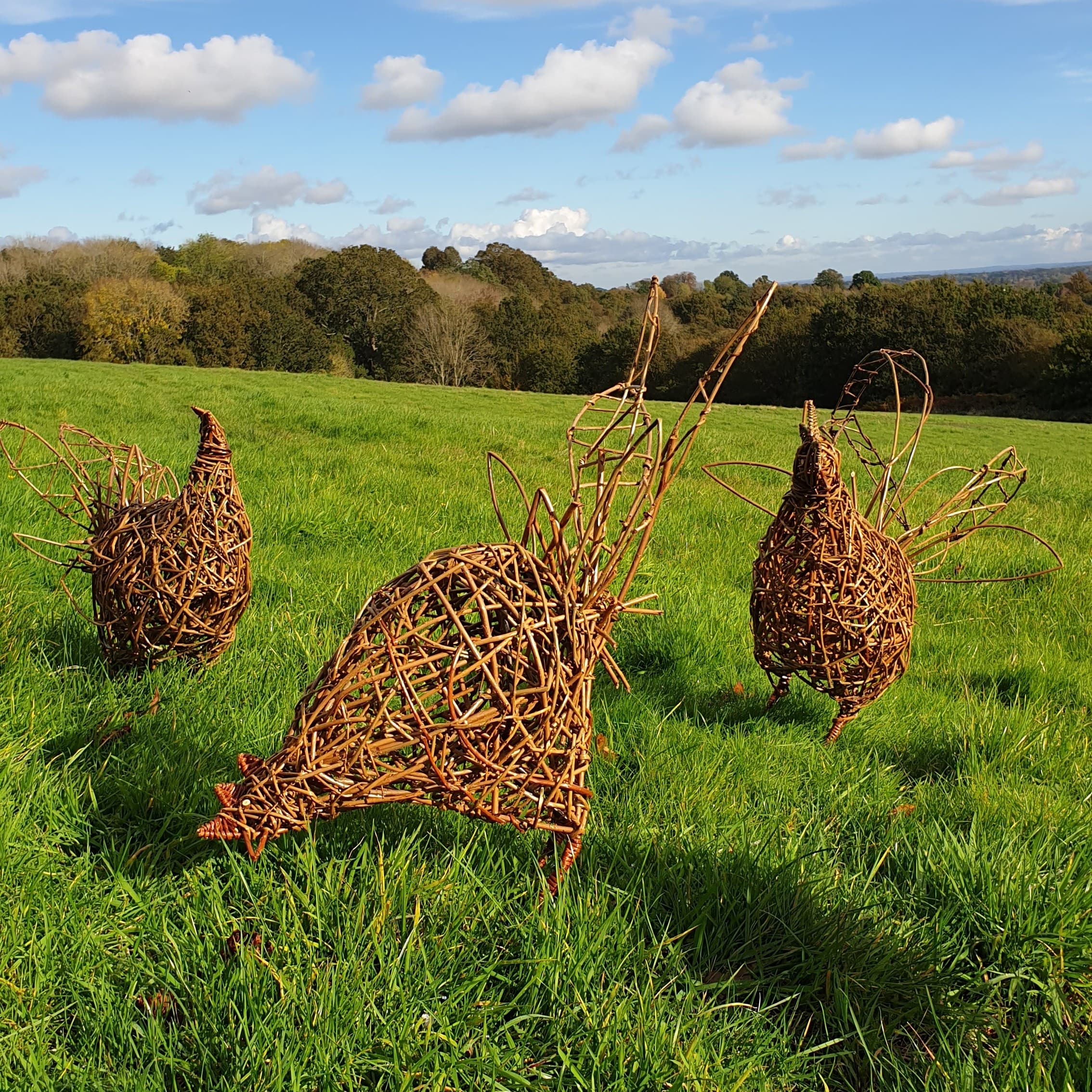 Weave a Chicken: Willow Sculpture Workshop at Whitchurch Silk Mill