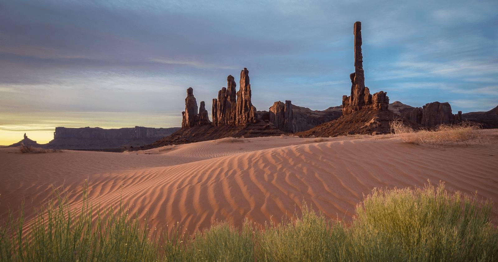 Phillips' Photography Tours fleet