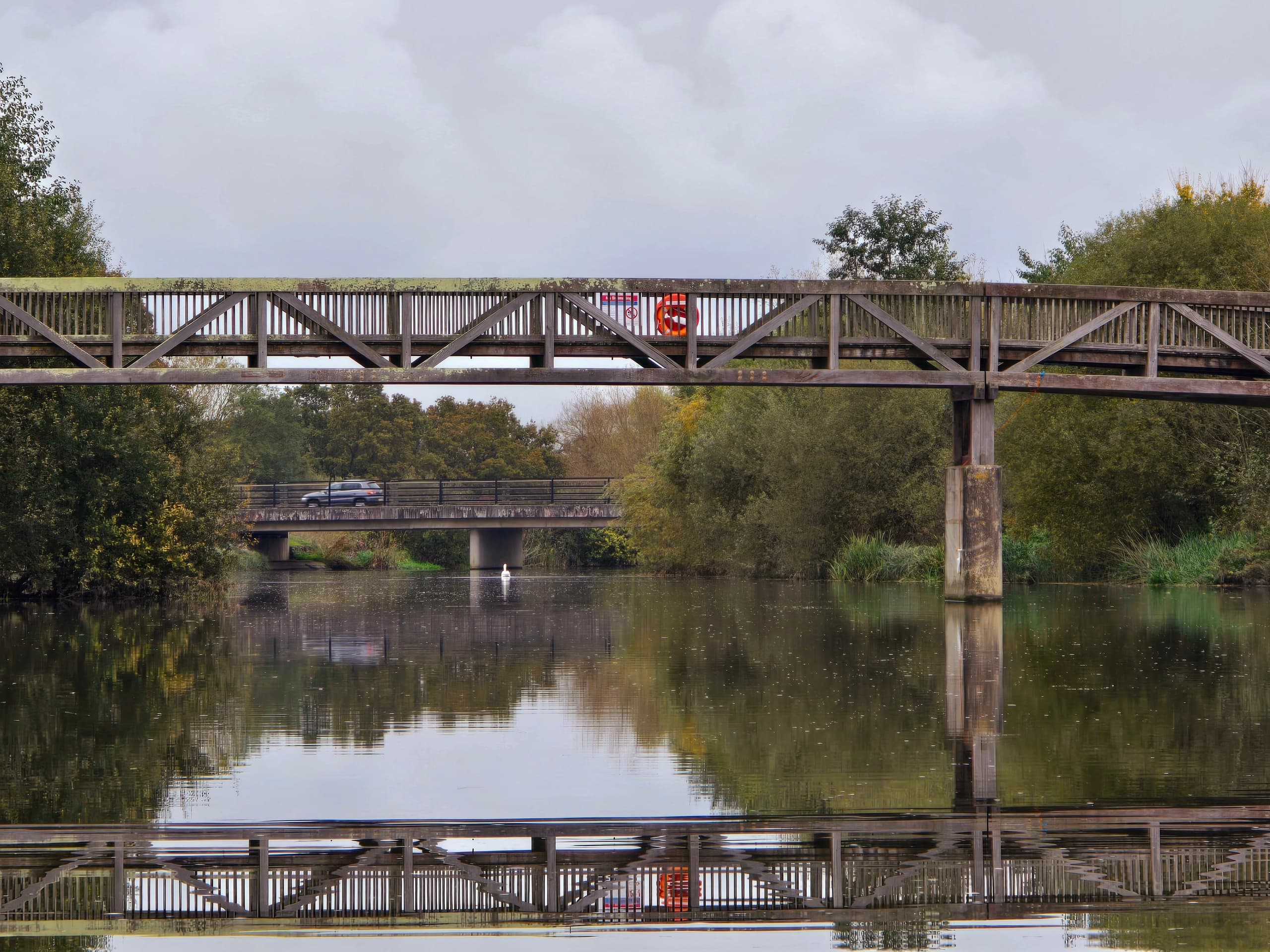 Jubilee River Safari: 8.5km SUP Wildlife Paddle from Dorney to Slough Weir photo 4