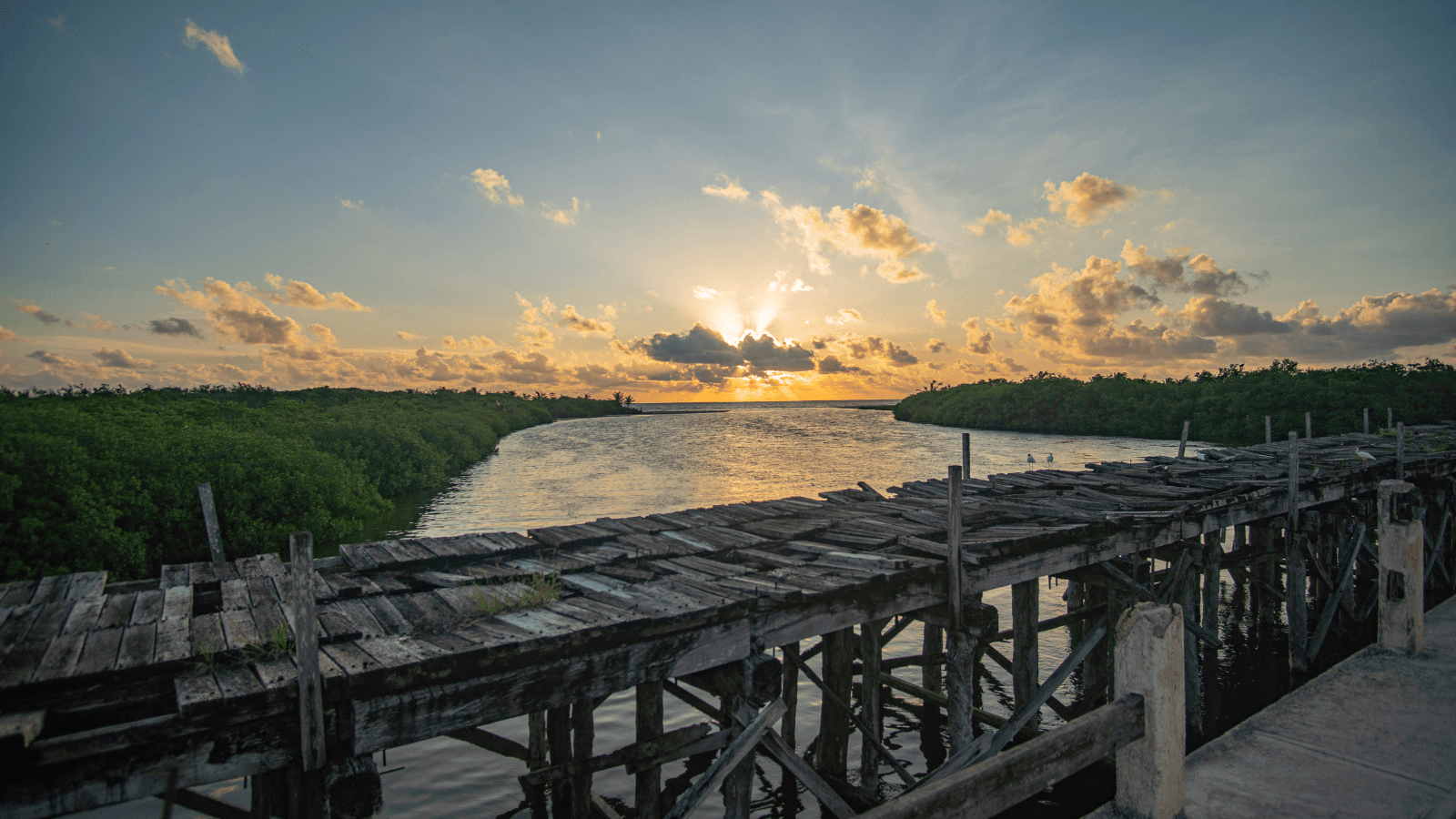 Sunset over wooden dock and mangrove wetlands in Riviera Maya