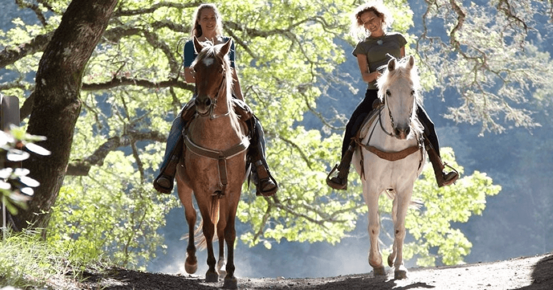 Fine Wine and Fancy Horses Adventure in Temecula