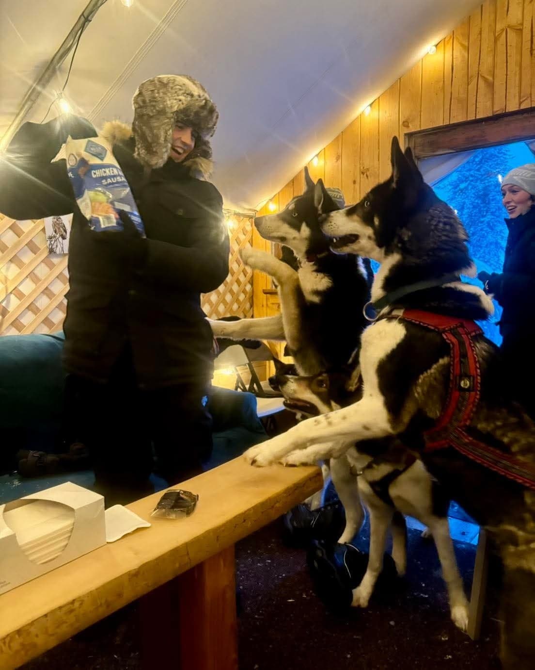 Goldstream Forest Hike & Kennel Visit: Meet Sled Dogs on Boreal Trails near Ester, Alaska photo 2