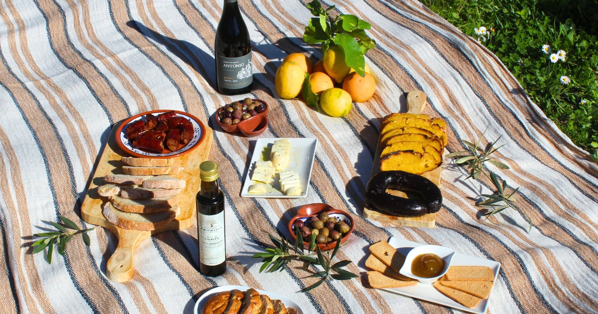 Olive Grove & Olive Oil Press Experience with Picnic | Farm in Porto de Mós | Food Tour