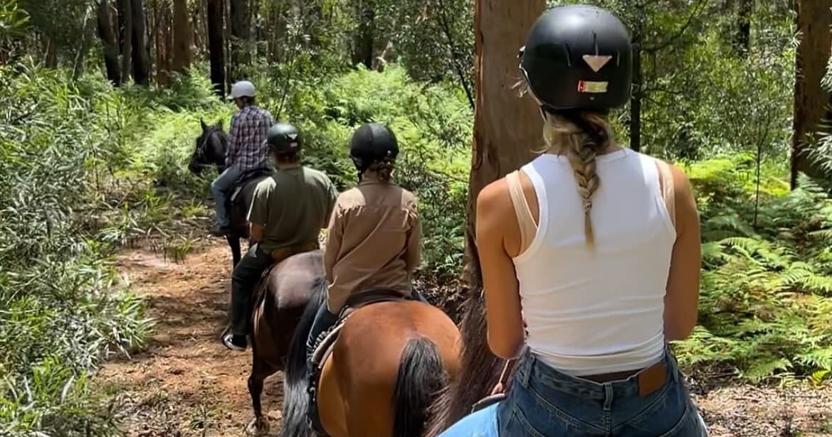 Guided horseback trail through eucalyptus forest at Darkes Forest