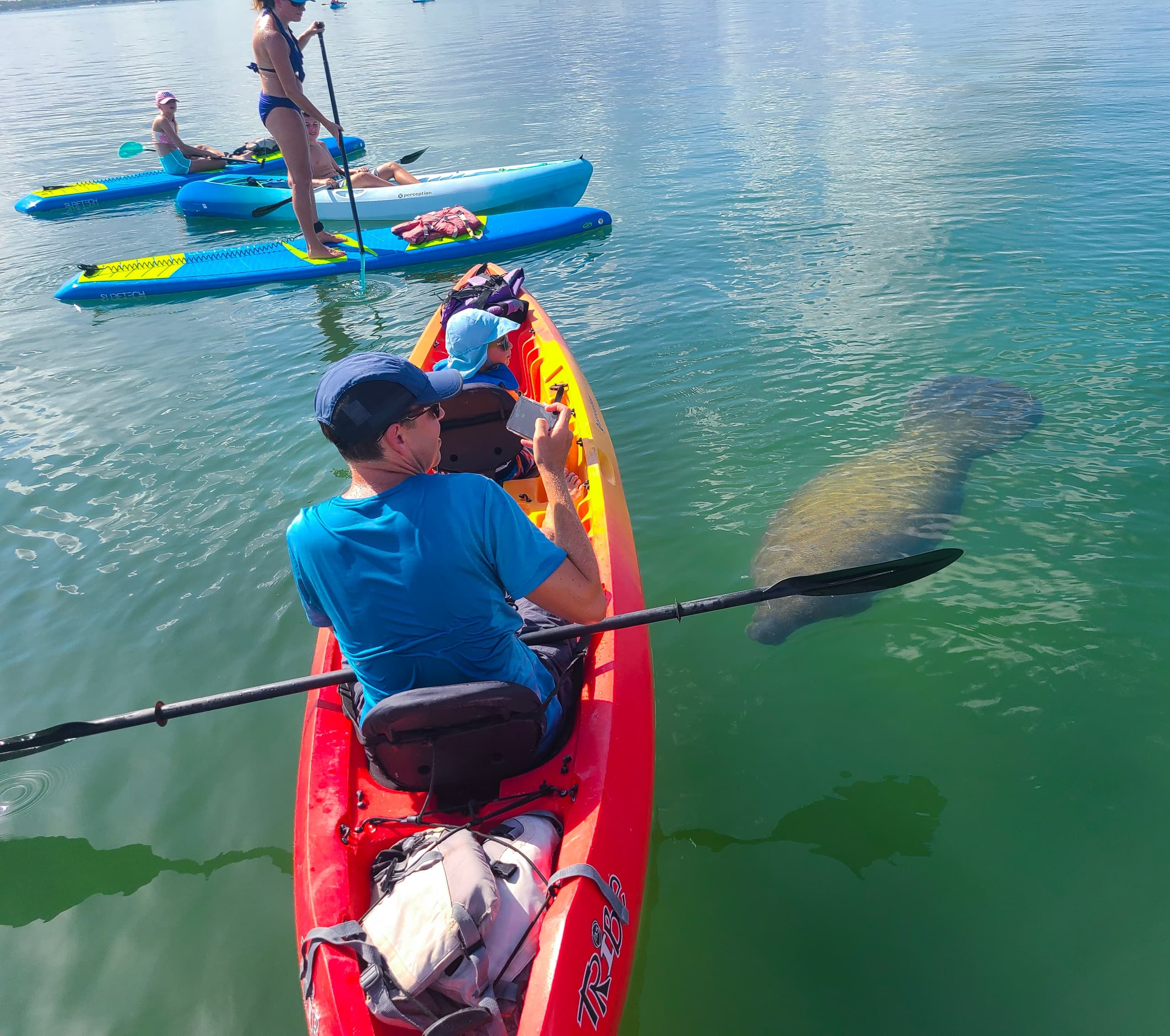 Mangroves and Secret Beach Kayak Tour with SURFit USA in Sarasota