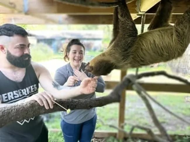 Private Sloth, Capybara & Southern Tamandua Encounters in Riverview, FL