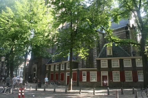 Historic canal houses under trees in Amsterdam, tranquil stroll