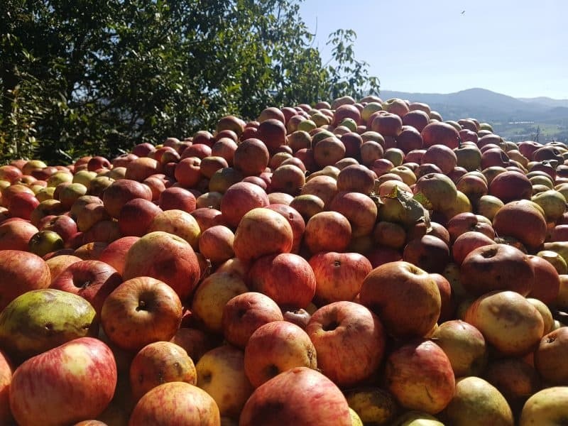 Basque Culinary Tour in Donostia with Go Basque