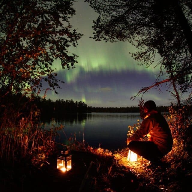 A Day in Lapland with 66 Arctic Adventures in Rovaniemi