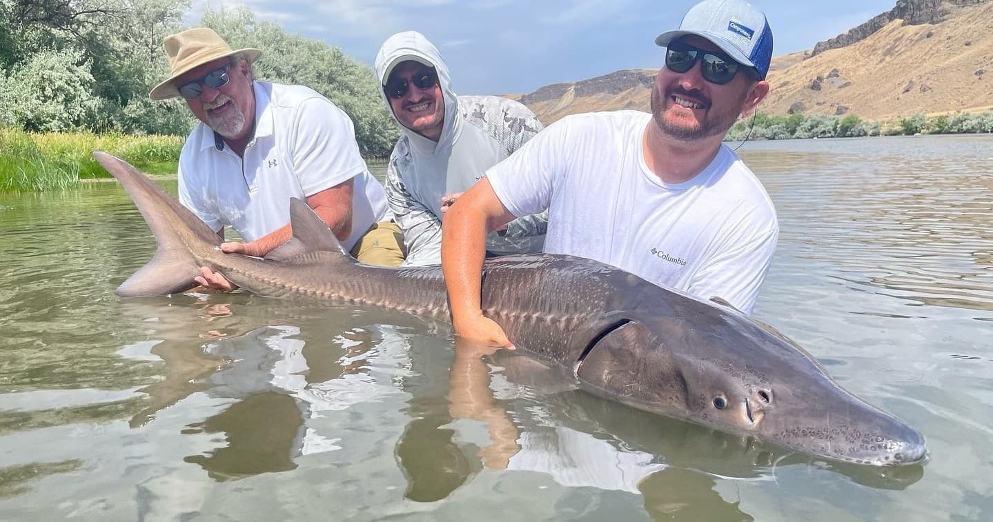 Catch and Release Sturgeon Fishing on Snake River, Idaho
