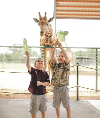 Wildlife & Safari Experience at Aggieland Safari in Bryan, TX