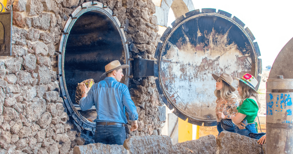 Highlands Tequila Tour: Explore Jalisco’s Legendary Distilleries and Volcanic Terroir