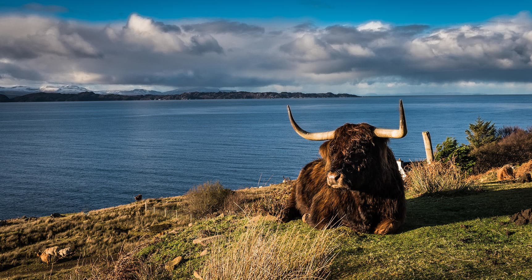 Land Adventure: The Glory of Ross with Hame Tours