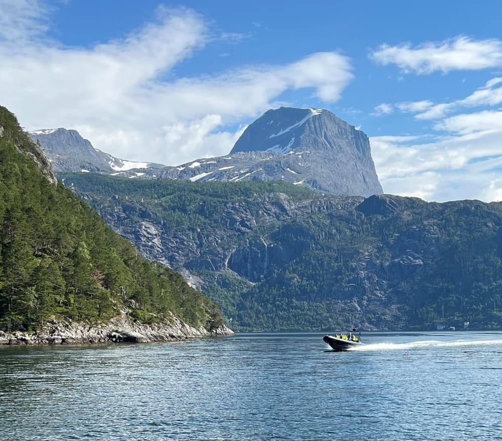 Experience the Thrill and Beauty of Nordfjord on the Ultimate RIB Safari