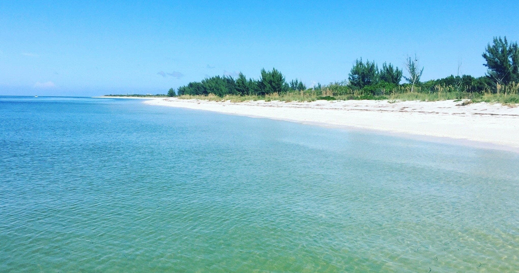 Tropical white-sand beach with turquoise water and shoreline