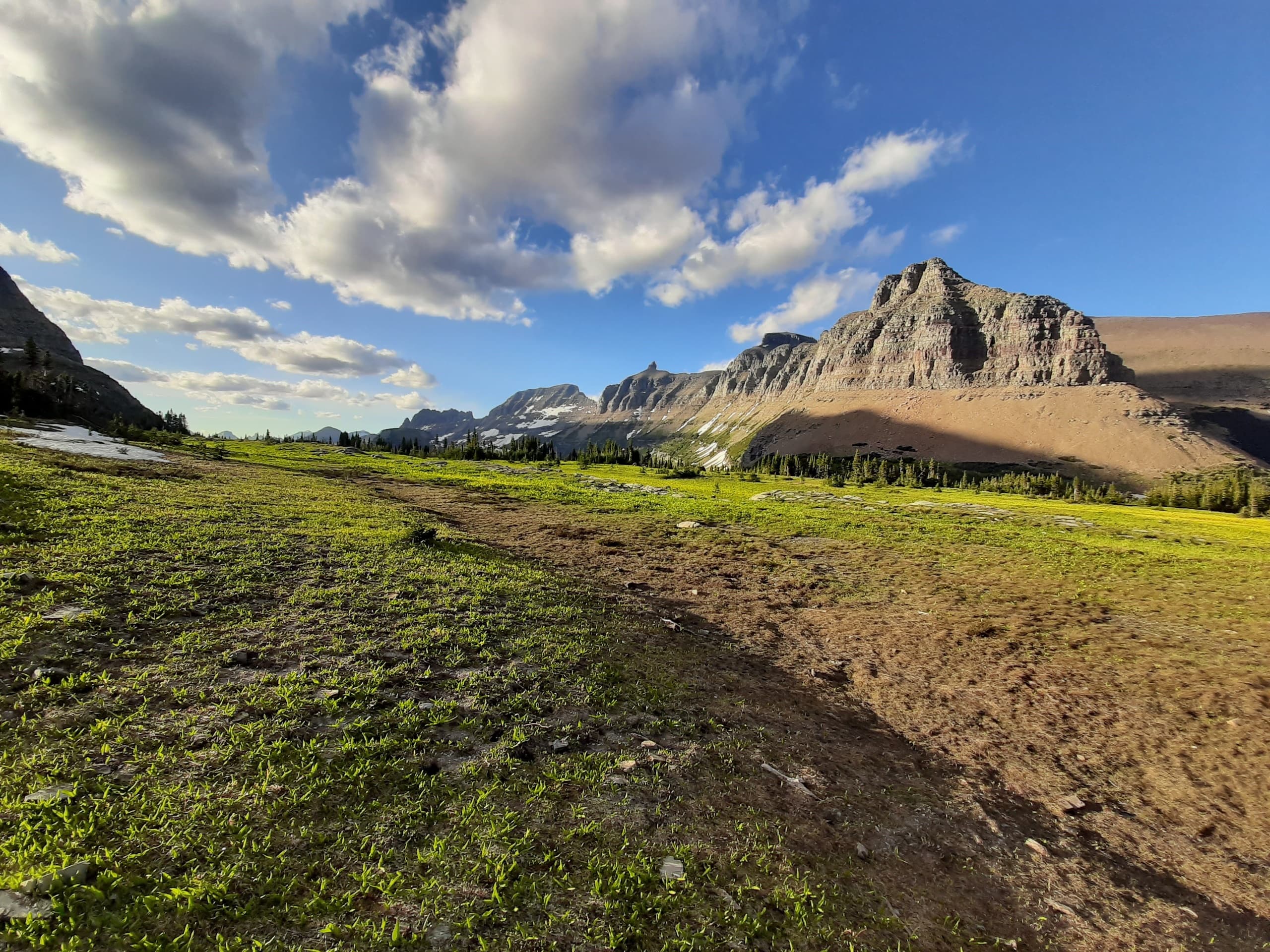 Hiking & Nature at Glacier Institute in Glacier National Park