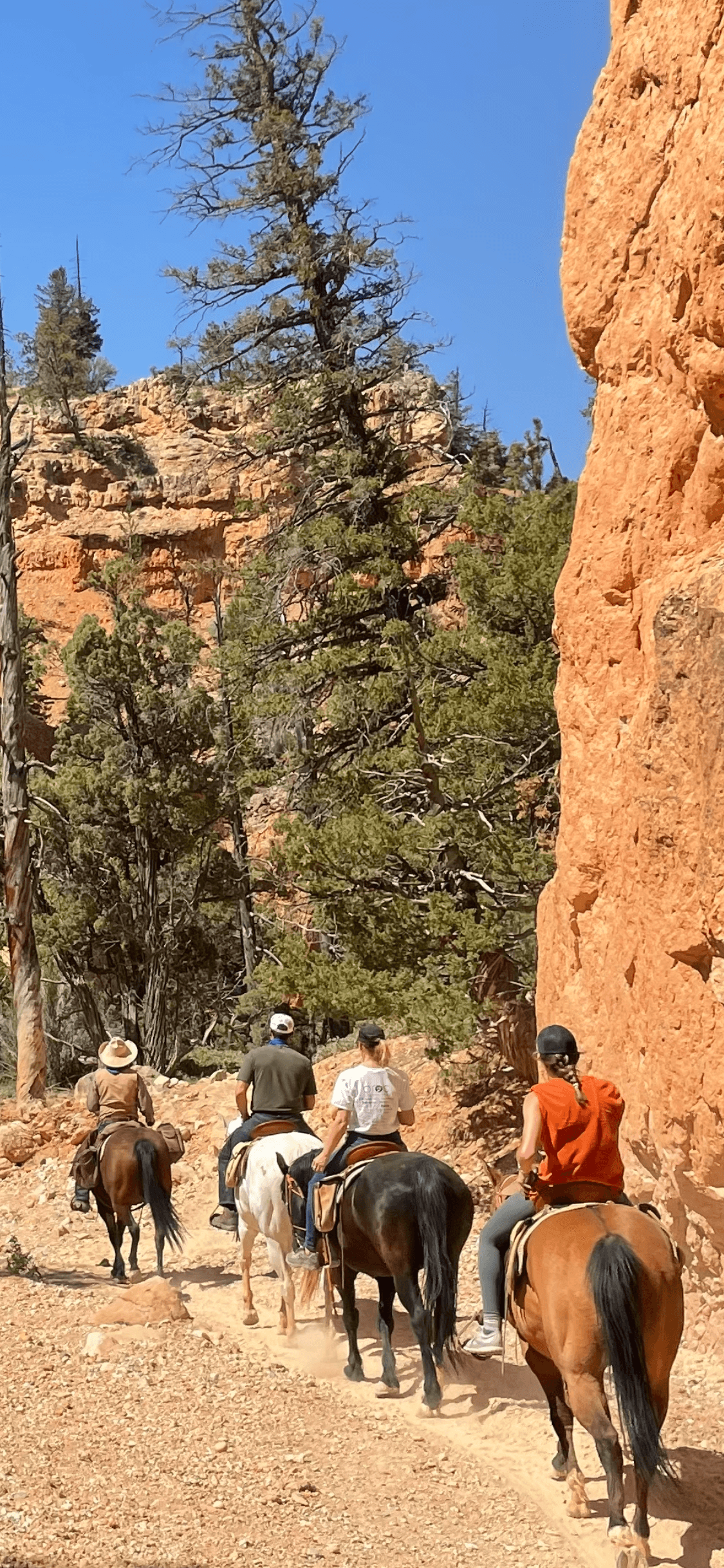 Half Day Horseback Adventure in Bryce Canyon City, Utah