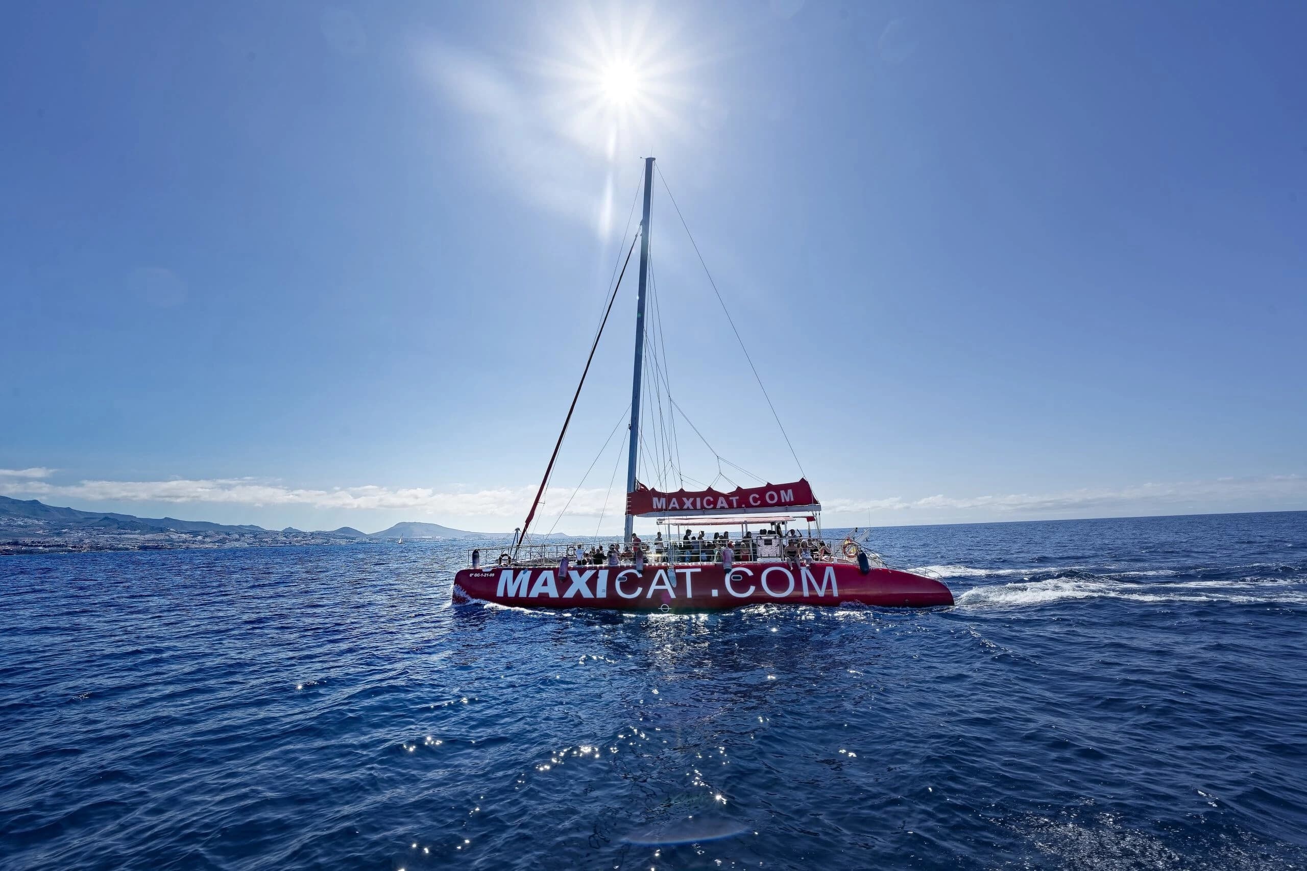 Family Catamaran in Adeje: Whale Watching, Snorkeling & Beach Stop