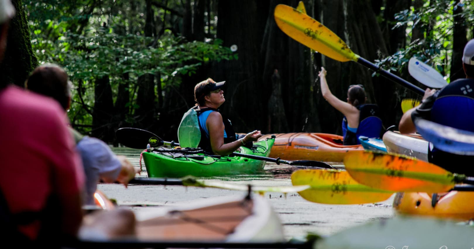 Kayaking & Nature at Wadboo Creek with Nature Adventures Outfitters