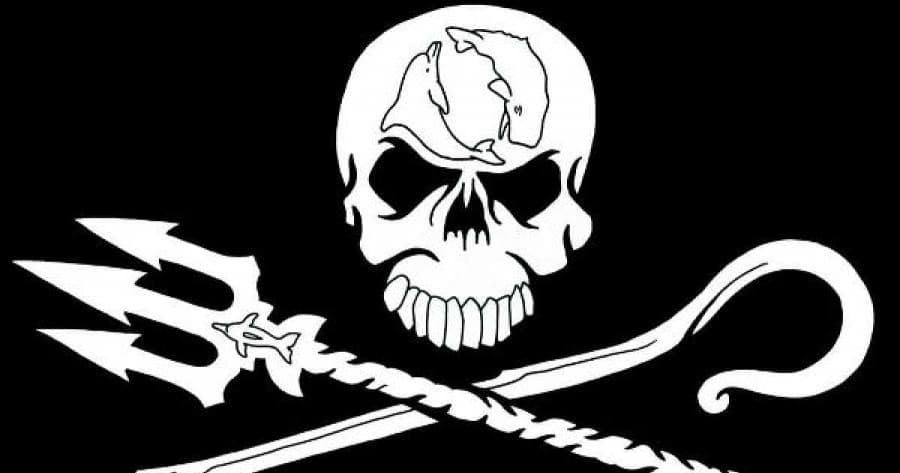 Sea Shepherd Whale Watch Adventure in San Diego