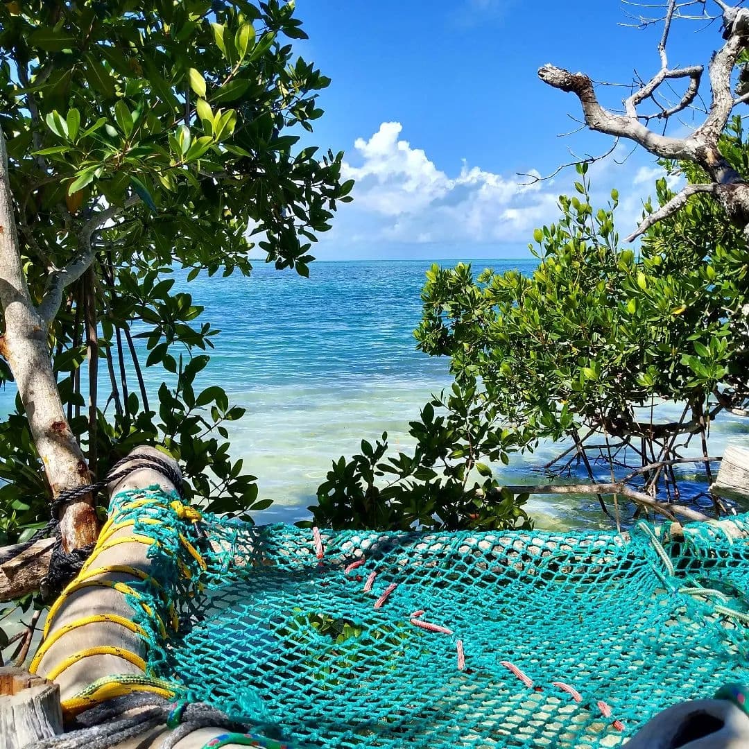 Full Day Snorkel And Multiple Island Hopping Tour | Snorkel in Key West, Florida photo 1