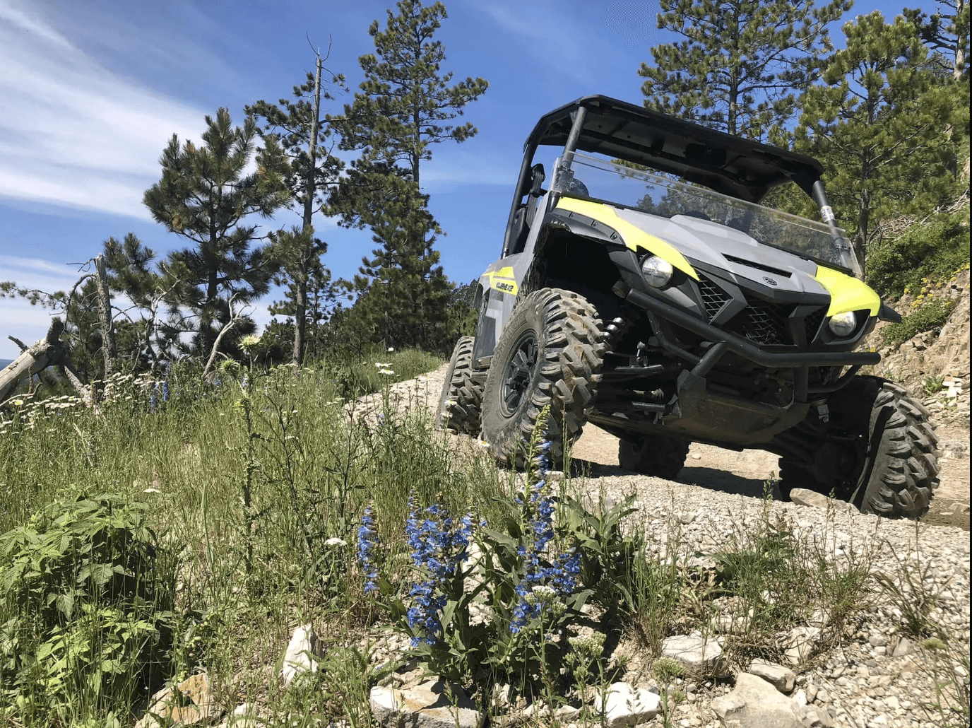 ATV Adventure at Custer Peak, Deadwood SD