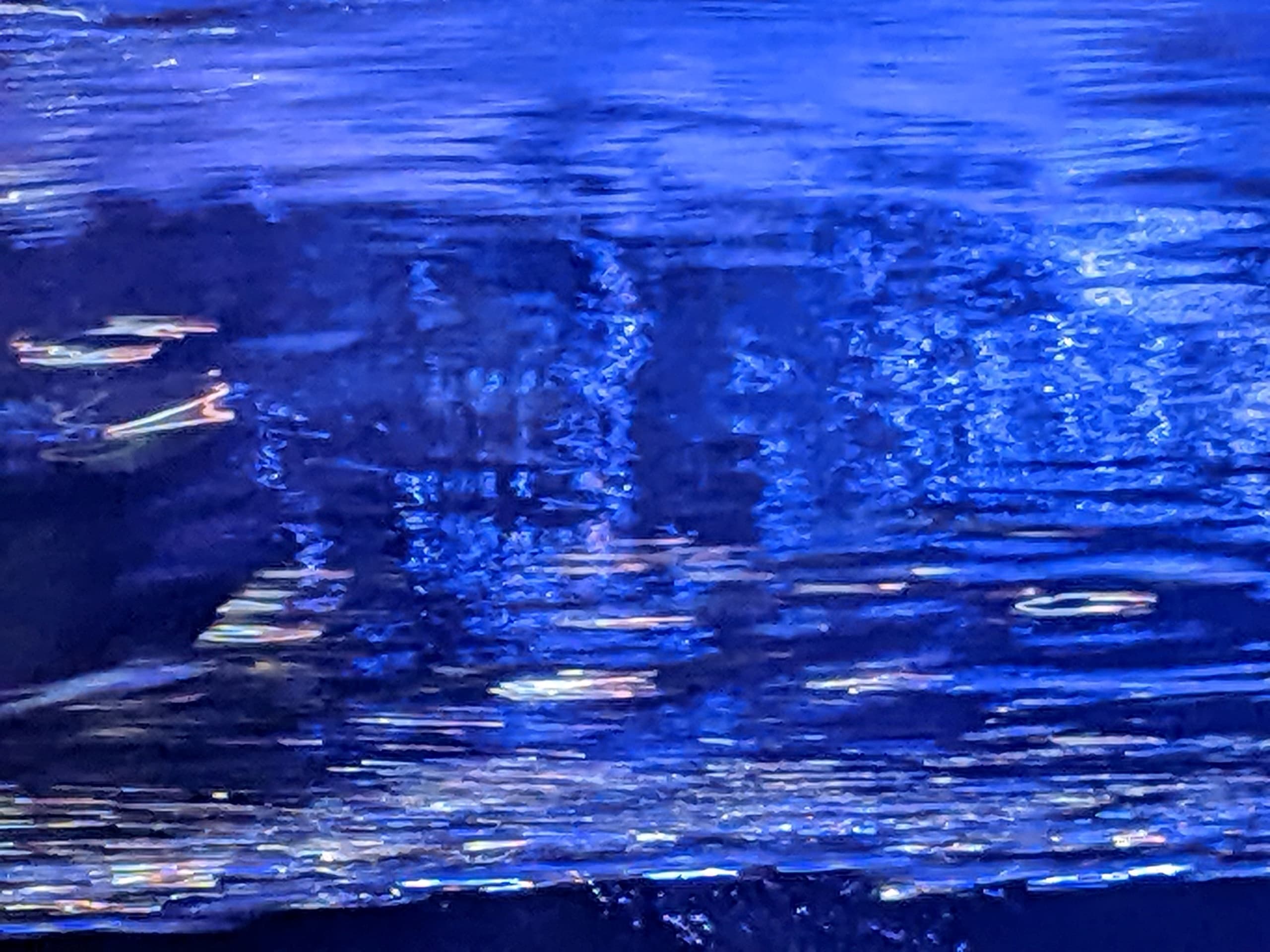 Interactive Water Science Adventure at Denver Aquarium photo 1