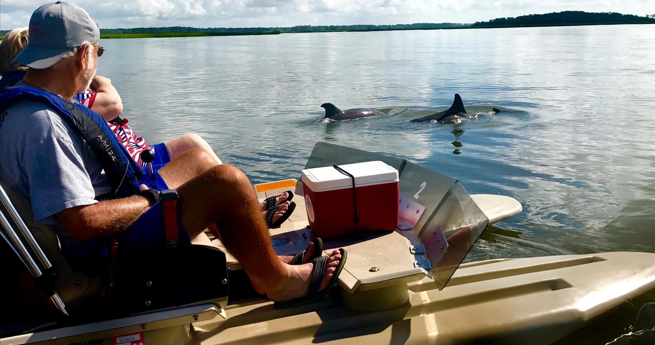 Hilton Head Guided Boat Tour: Explore Dolphins, Creeks & Coastal History