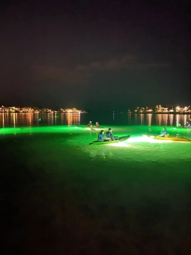 Sharkey's Glass Bottom Tours - Sarasota team