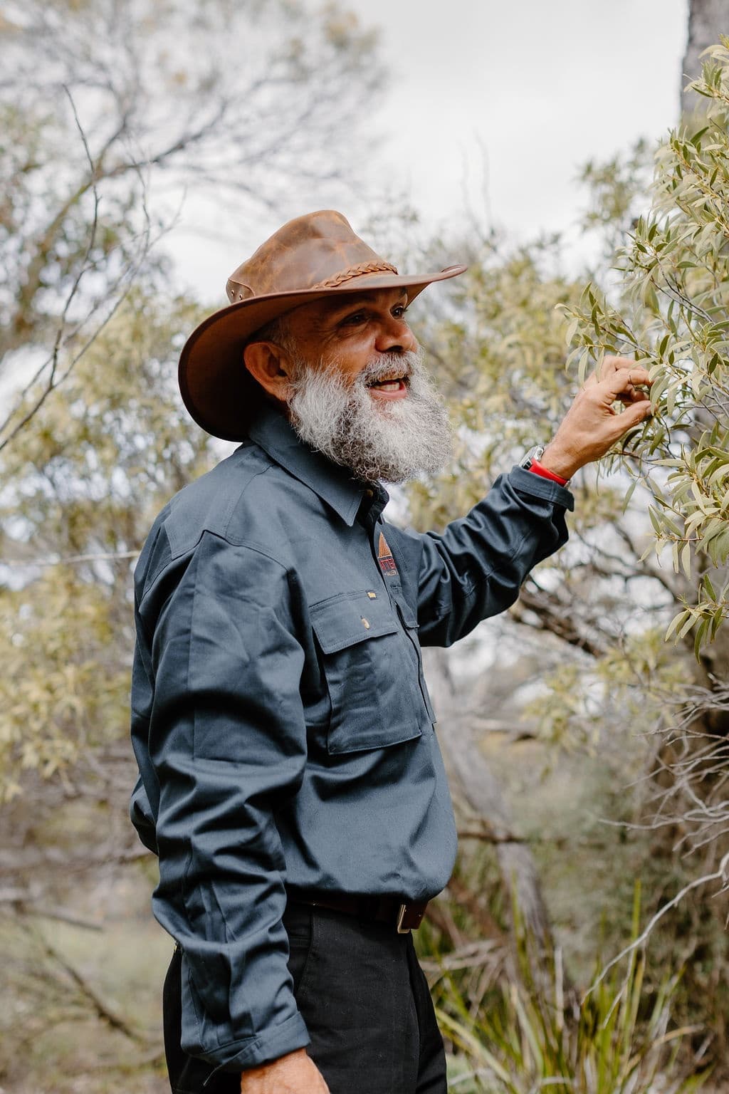 Wave Rock & Hippo's Yawn Explorer — 2-Hour Guided Walk in Hyden, WA photo 2
