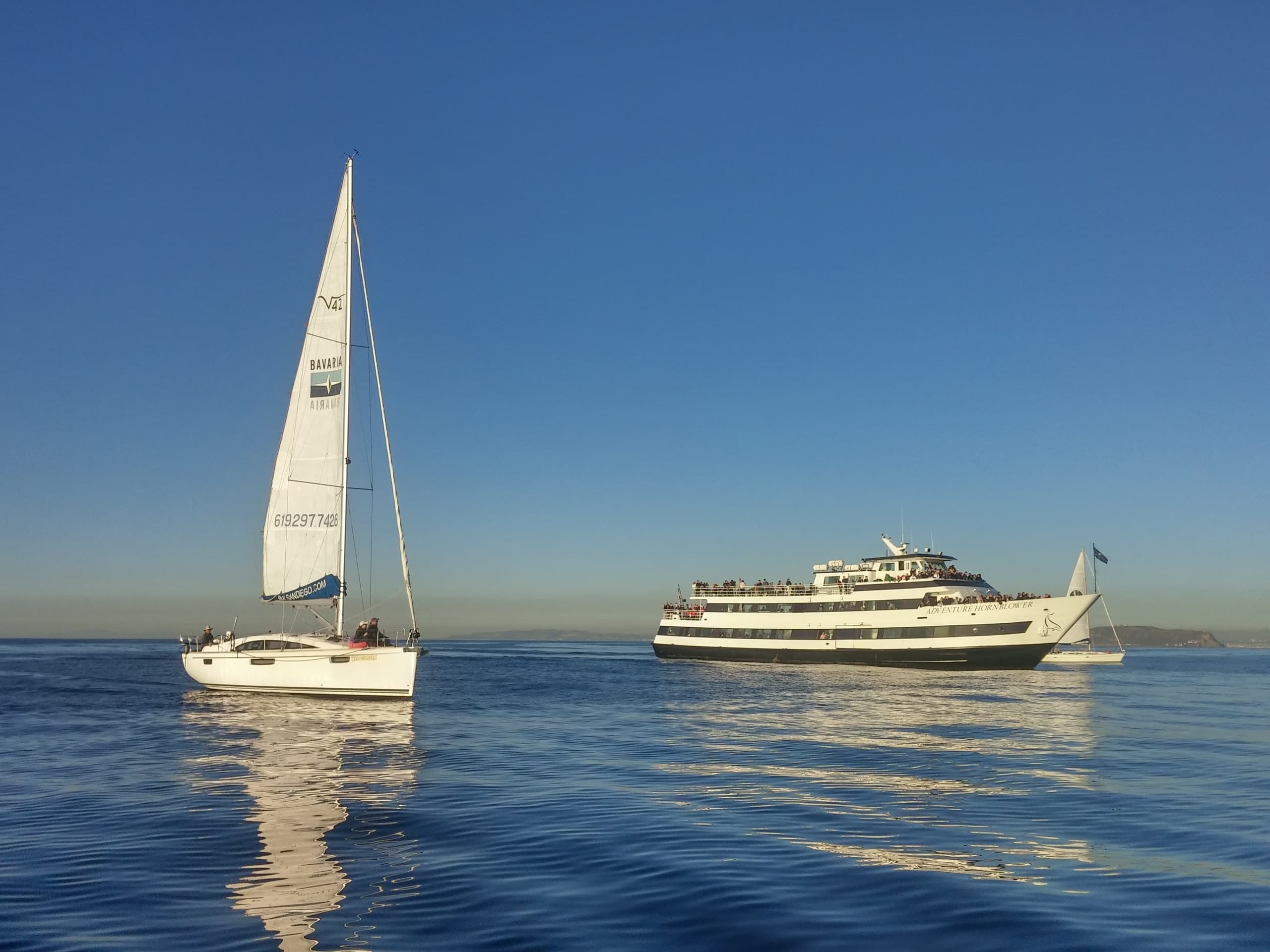 Ticketed Whale Watching in San Diego, California