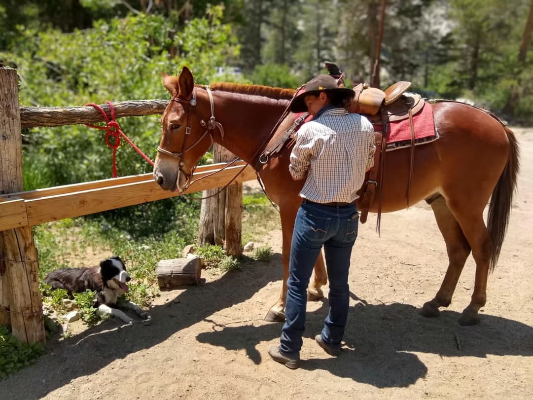 Historic Rainbow Trail Horseback Ride to South Lake — Eastern Sierra Vistas
