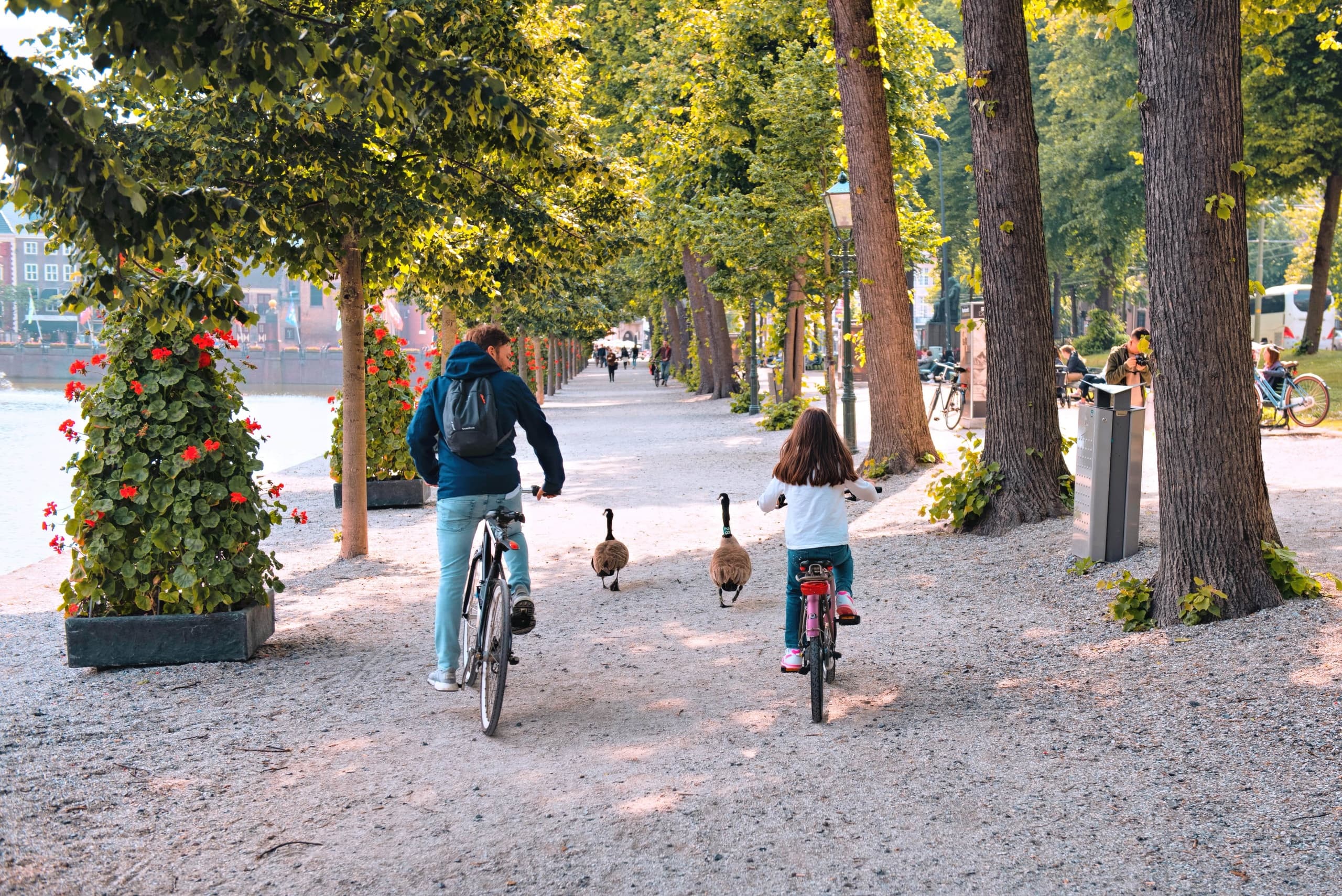 Parent and child cycling on tree-lined Hague park path