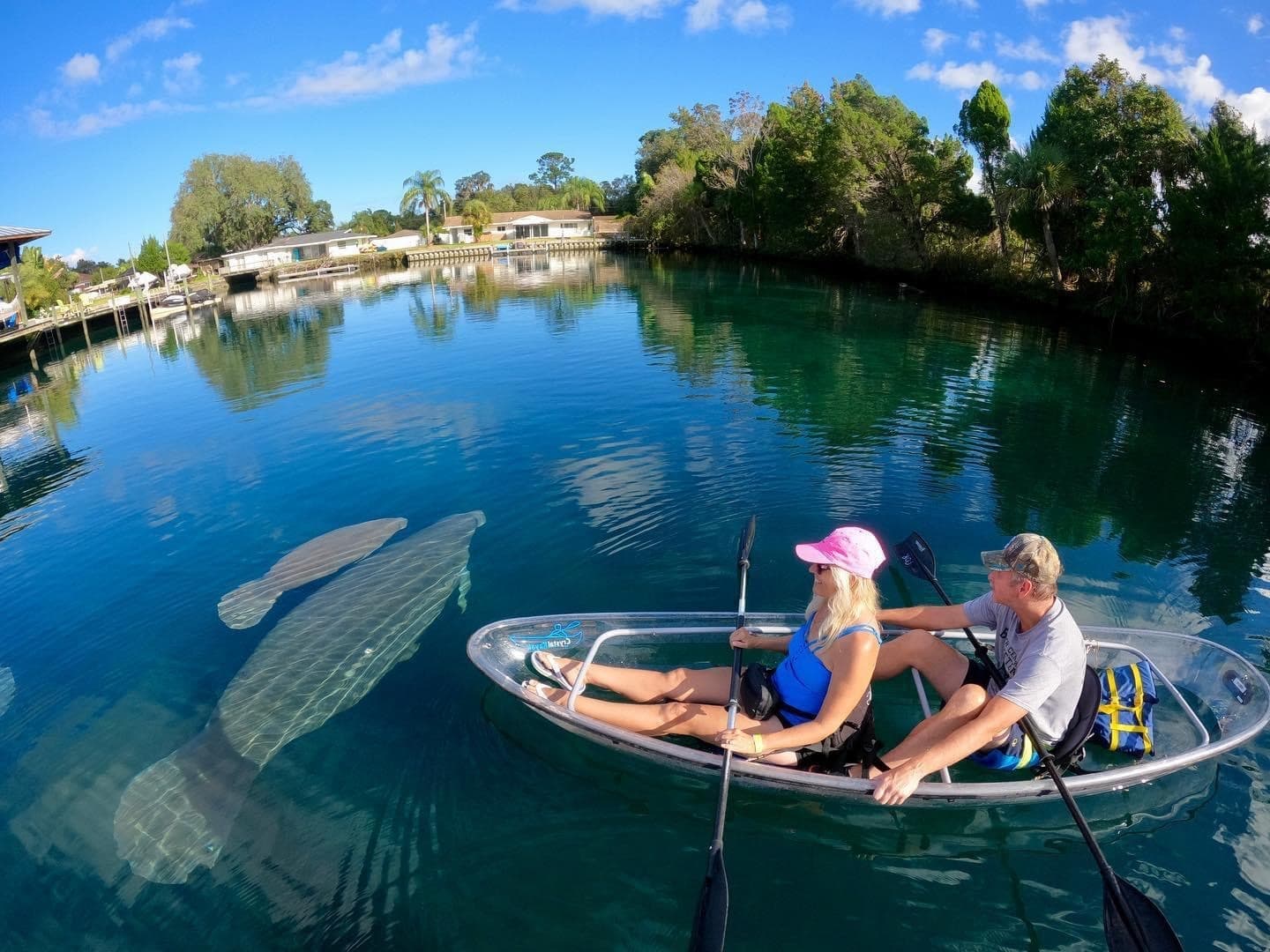 Clear Kayaking with Manatees in Crystal River, Florida