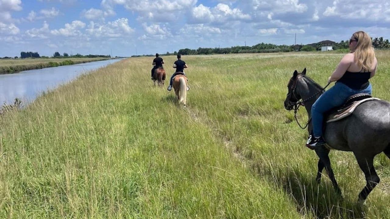 Horseback Riding in Miami Countryside: 1-Hour Guided Trail Ride Near Miami photo 4