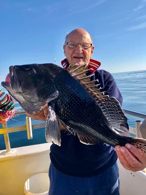 Angler displaying big black sea bass on deck during ocean trip