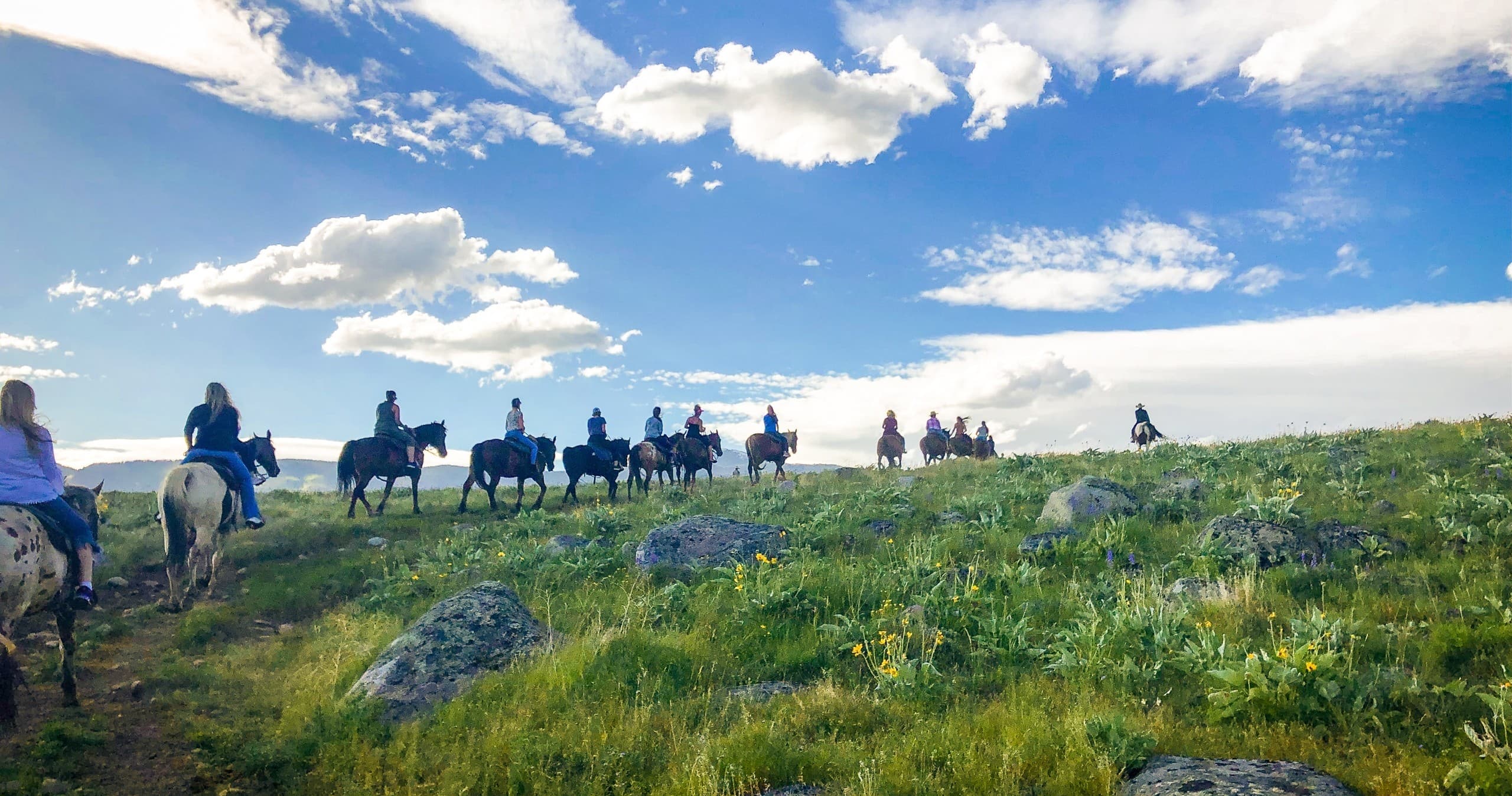 Horseback Riding & Wilderness at Yellowstone Raft Company