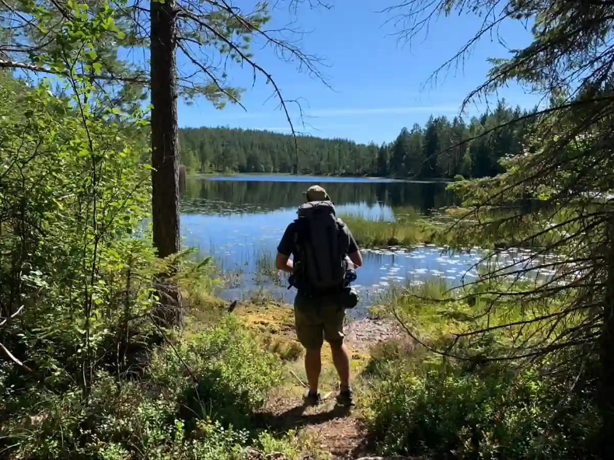 4-Day Hiking Tour with Stockholm Nature AB in Höga Kusten