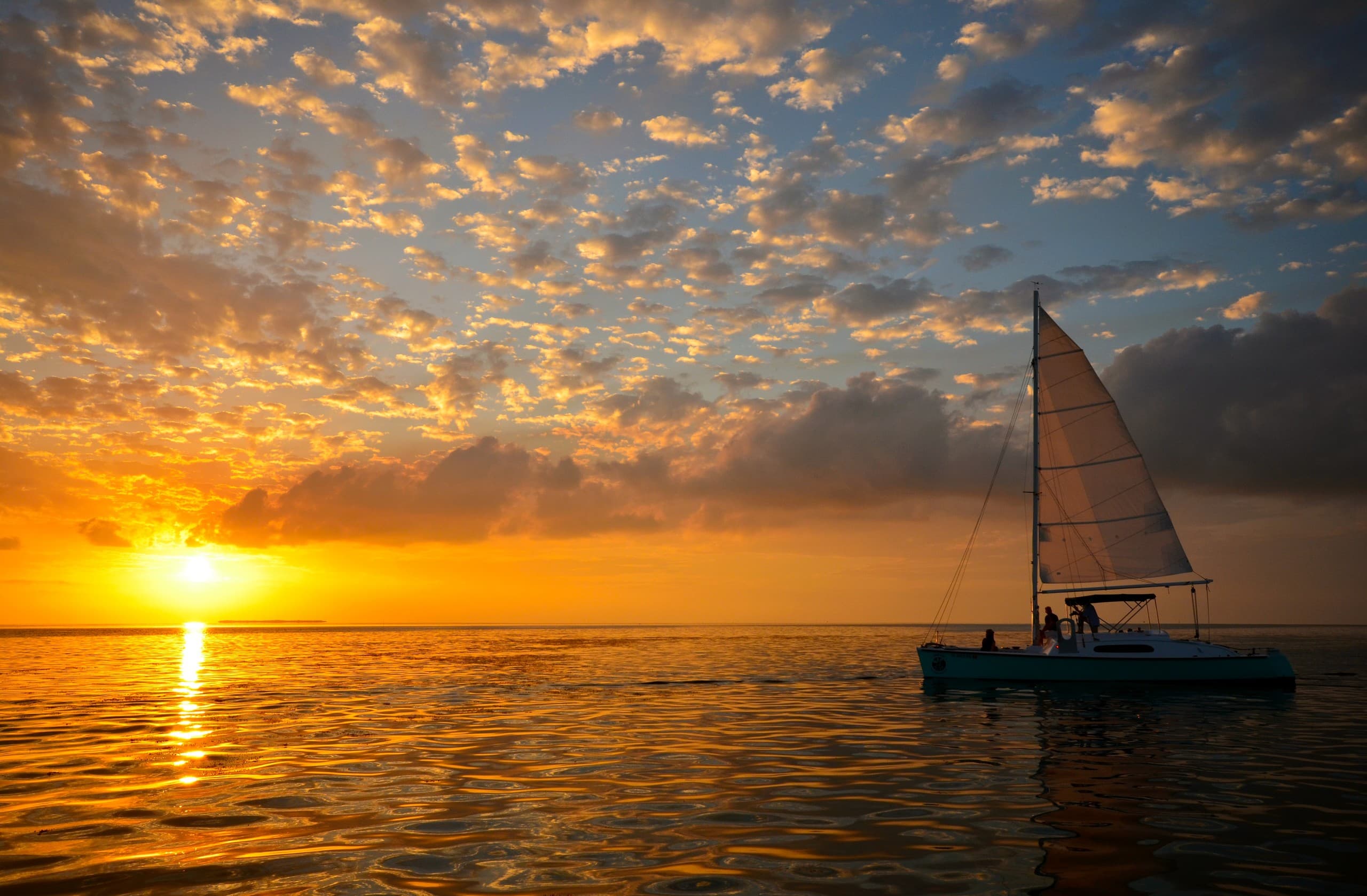 Half-Day Java Cat: Kayak Mangroves, Guided Snorkel & Sunset Sail in Key West