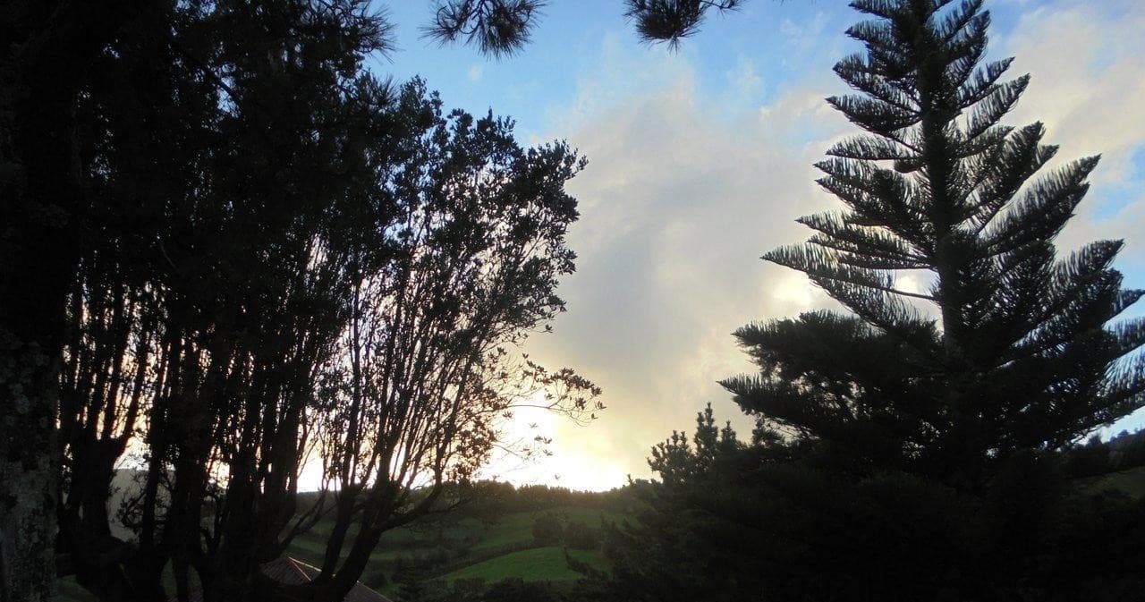 Off-Road Adventure in São Miguel with Azores For All