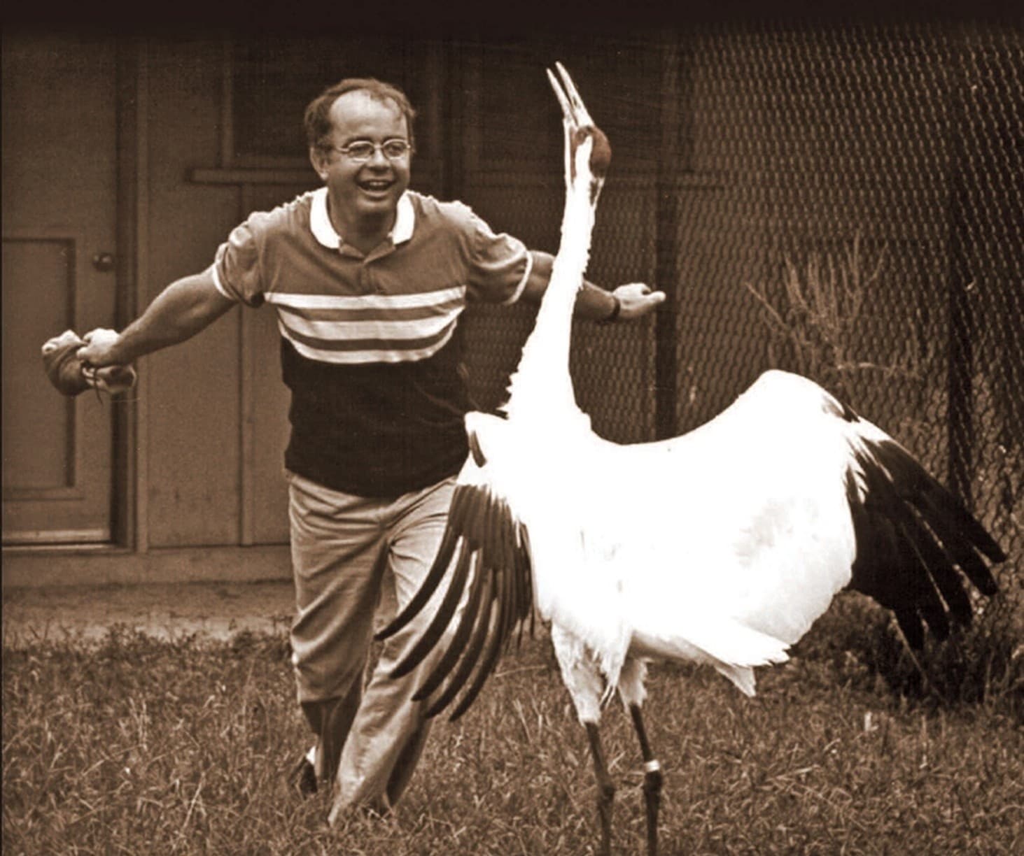 Dances with Cranes: Whooping Crane Conservation Film & Biologist Panel in Port Aransas