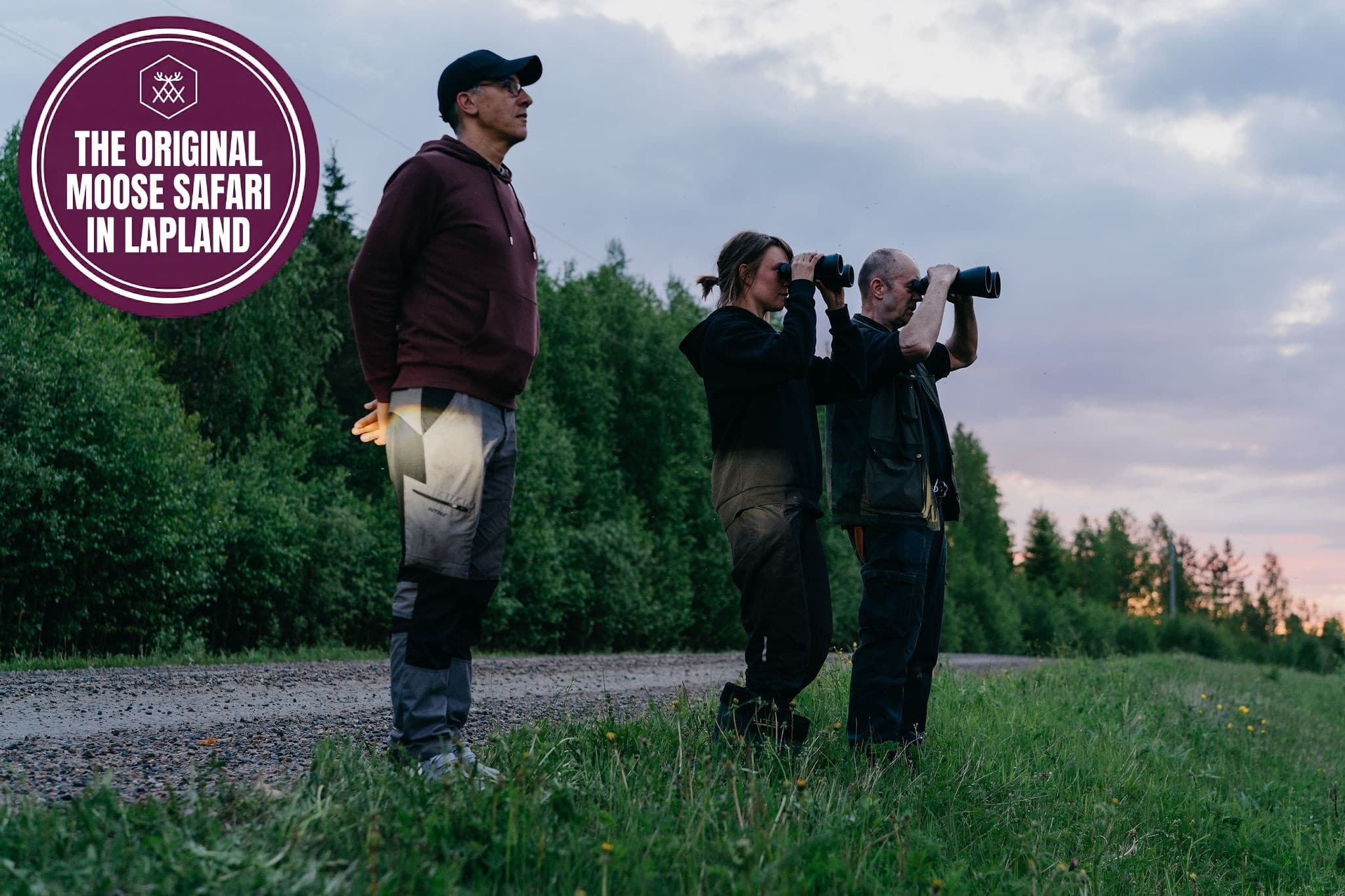 Evening moose safari near Rovaniemi: spot Lapland's quiet giants photo 2