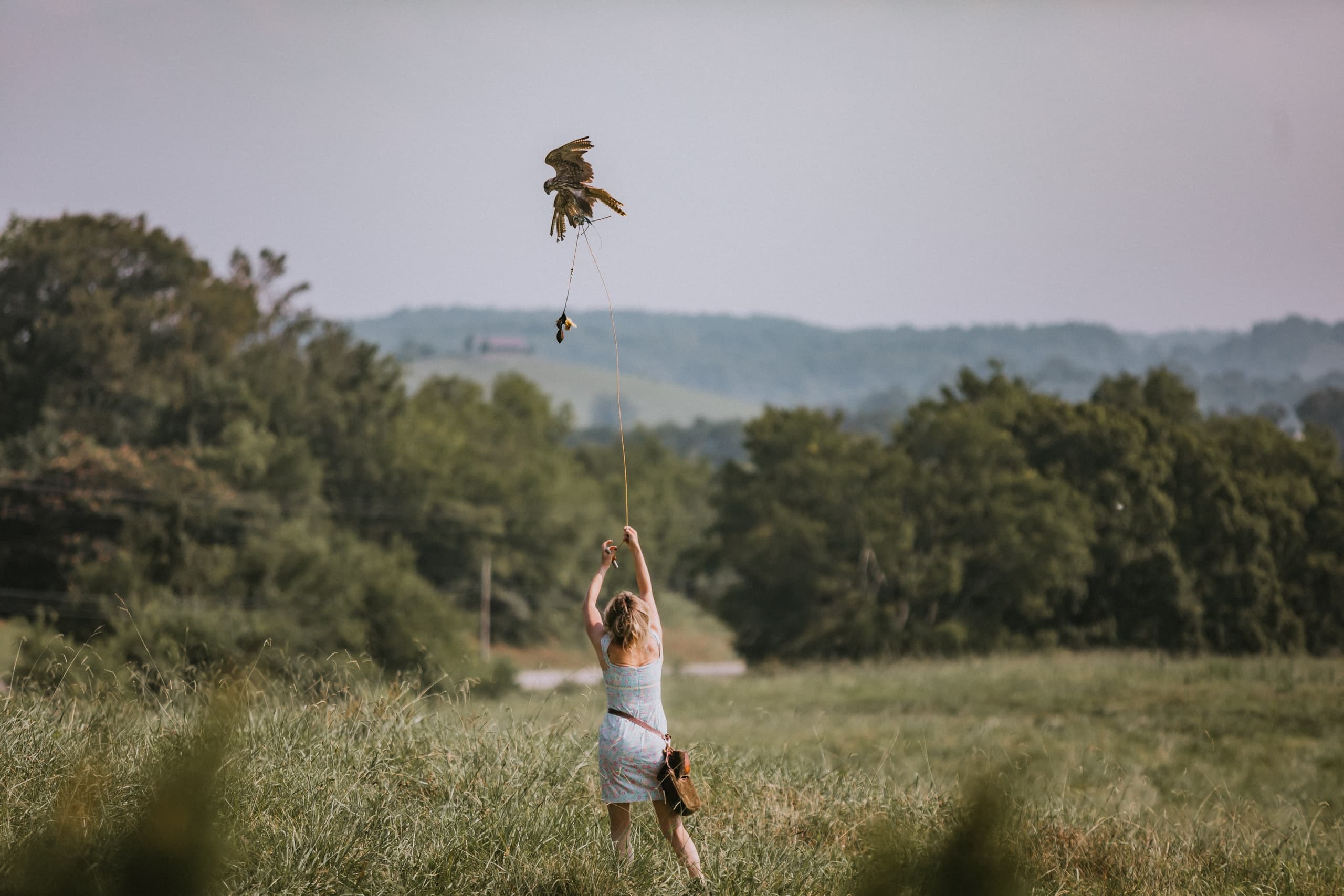 Wildlife & Adventure: Wedding Packages with Birds at Wing Blade Falconry